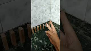 The amazing Domino's