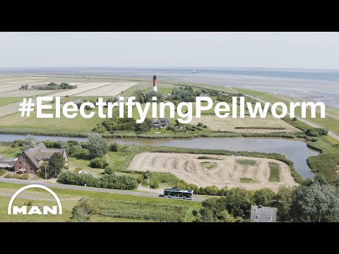 Reif für die Insel: Nordseeinsel Pellworm nimmt den Elektrobus MAN Lion’s City E in Betrieb