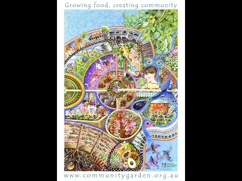 draft History of CGs