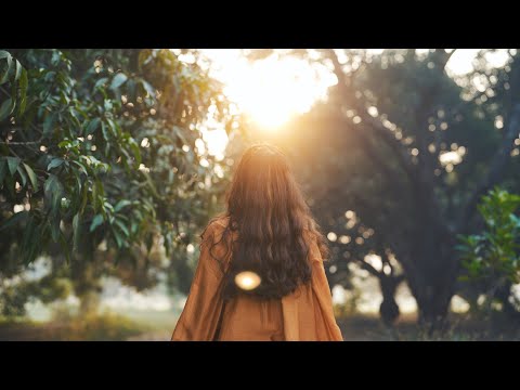 Alboe - Malx (feat. Shrii)