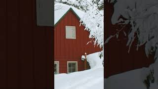 Download lagu Sârbâtori fericite vâ doresc mp3