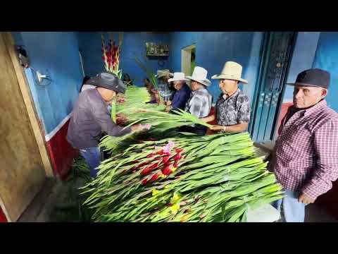 Fiesta Patronal en la Colonia de Santa Rosa de Lima en Tlahuapa Gro.
