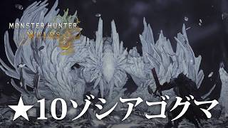 【MHWilds】え！？リハビリ無しで★10ゾ・シア、ゴグマジオスに挑むだって？【モンハンワイルズ】