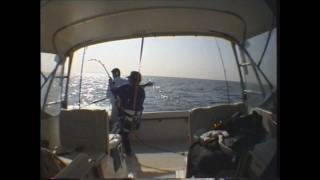 preview picture of video 'Pesca al tonno gigante stand up team bollicine'