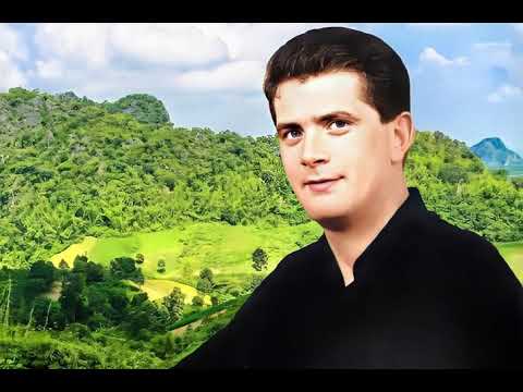 Martin Cuffe   Three Leaf Shamrock