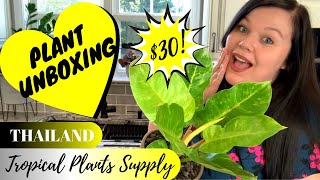Plant Unboxing | Tropical Plants Supply