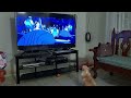 Perrito Chihuahua Viendo Una Película En La TV Atlantis El Imperio Perdido