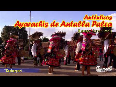 Ayarachis de Antalla - Palca: Cacharpari