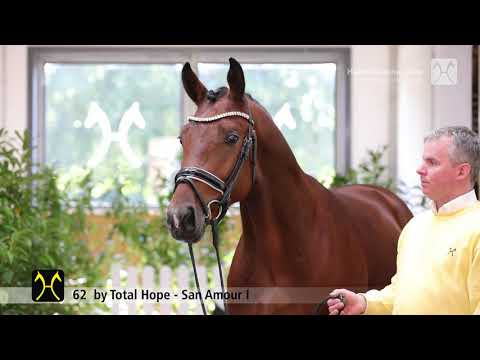 Verden Stallion Licensing 2021 - Dressage -  Nov. 4-6 - No. 62 Stallion by Total Hope - San Amour I