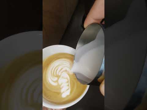 Latte Art /Phoenix training 🦅🔥