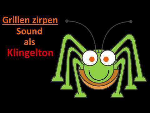 Klingelton Grillen zirpen 🦗 Zikaden-Geräusch (Heuschrecke) kostenlos als MP3-Download fürs Handy!