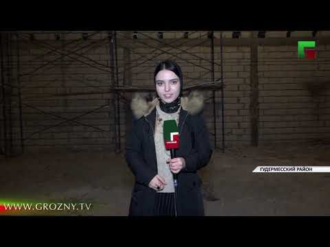 Полный выпуск новостей от 10.11.2021