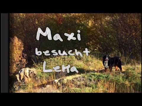 Maxi besucht Leka