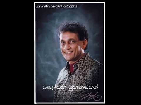 dura atha meedumen  /  shelton muthunamage