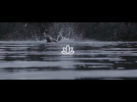 RICHTER x LOTUS (prod. by Johnny Illstrument & Toxik Tyson)
