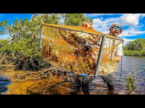 Big Rains = MUD CRABS! ~ Seafood Catch & Cook