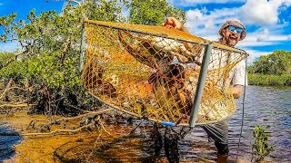 Big Rains = MUD CRABS! ~ Seafood Catch & Cook