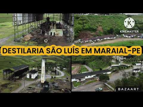 DESTILARIA SÃO LUÍS EM MARAIAL, ZONA DA MATA SUL DE PERNAMBUCO 
