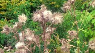 It's Only Raining Right Where You're Standing