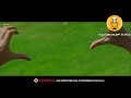 Fist Rank Raju Movie Songs Whatsapp Status