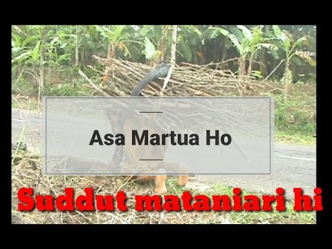 Asa Martua Ho (lirik lagu batak)