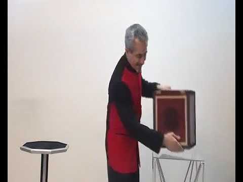 Everything to 4 Dove Cages Wooden by Tora Magic