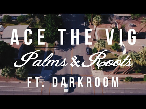 Ace The Vig - Palms & Roots (feat. DARKROOM)