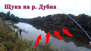 Ссылка
