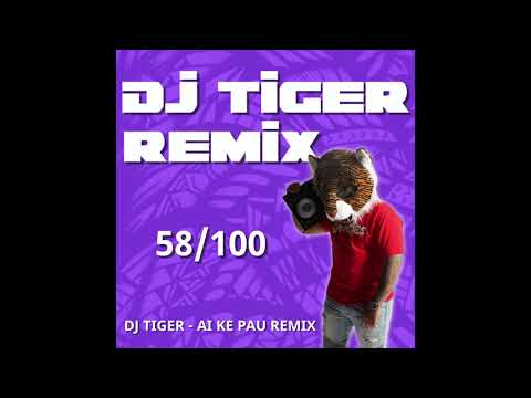 DJTIGER - Lost in Ovaseas ft. Deejay Leeyo - AI KE PAU REMIX