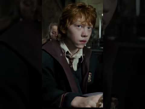 Harry Potter x Y/n Black pov (Y/n got her father's side of the family genes) part 3