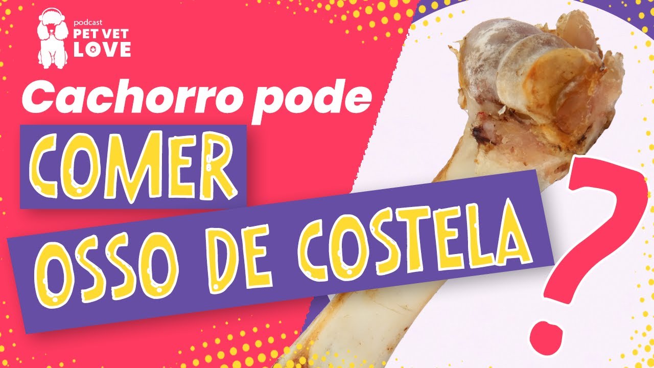 CACHORRO pode COMER OSSO de COSTELA