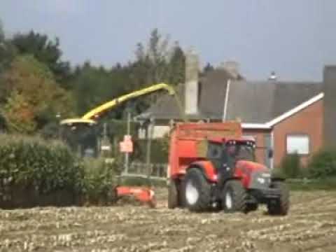 Demarez-Marreel: Mais hakselen.