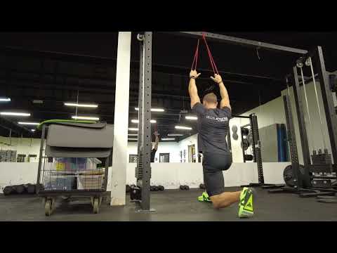 Aktywacja i rozgrzewka mięśni pleców