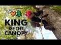 World's Greatest Tree Climbers Compete Head To Head