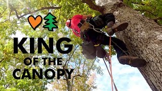 World&#39;s Greatest Tree Climbers Compete Head To Head
