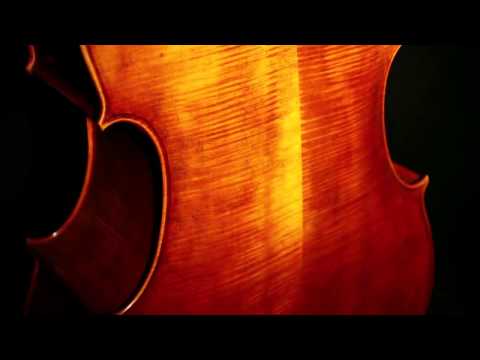 Emanuel Wilfer - Double Bass, Modell Prague