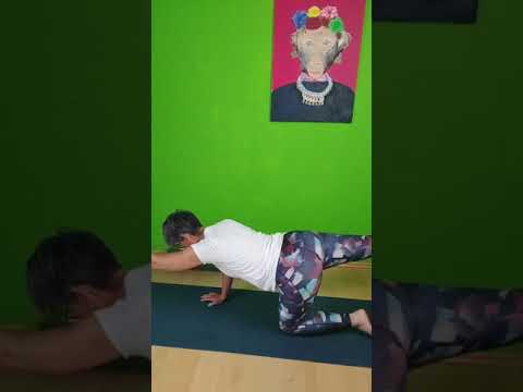 Wirbelsäulenbeweglichkeit #yogabasics Variante Katze/Kuh