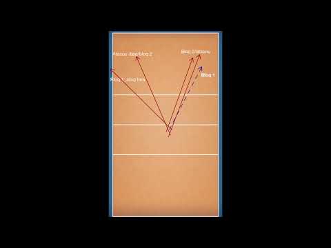 Muller Tillmann  S out x Barbara Carol