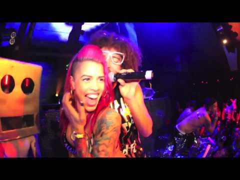 Redfoo VS Sandro Silva & Quintino - Bring Out The Epic Bottle (Dee'Jo MegaMashup) (Official Video)