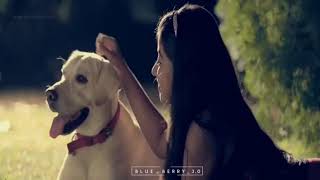 Dog love WhatsApp status Tamil