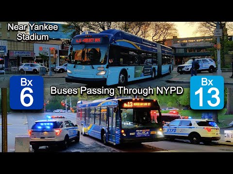 Bx13 Bus