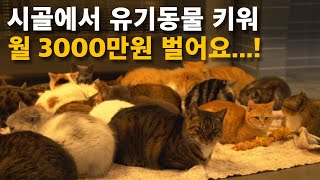 직장 그만두고, 사연있는 동물 보살펴 월 3000만원 버는 대표님의 하루 [동물체험농장] 1부