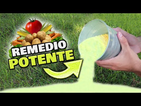 , title : 'ADIÓS PLAGAS Y ENFERMEDADES en tus Plantas y Hortalizas 🌿 Insecticida y Repelente Natural de Azufre'