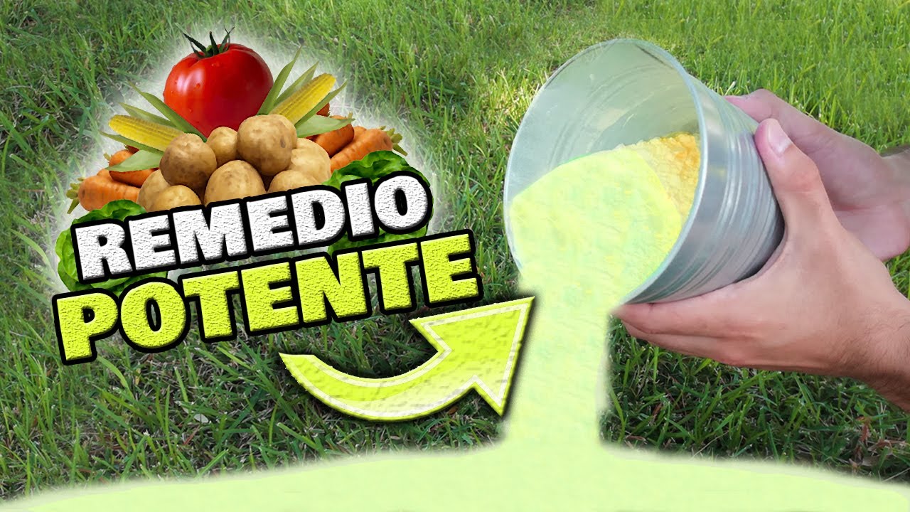 Watch ADIÓS PLAGAS Y ENFERMEDADES en tus Plantas y Hortalizas 🌿 Insecticida y Repelente Natural de Azufre Now ADIÓS PLAGAS Y ENFERMEDADES en tus Plantas y Hortalizas 🌿 Insecticida y Repelente Natural de Azufre