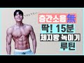 층간소음없이 딱! 15분 체지방 100% 녹여버리는 루틴 (누구나 집에서 쉽게 가능)