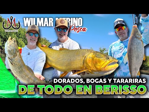 Pesca en Berisso: Dorados con Señuelos, Bogas y Tarariras en los Canales del Puerto