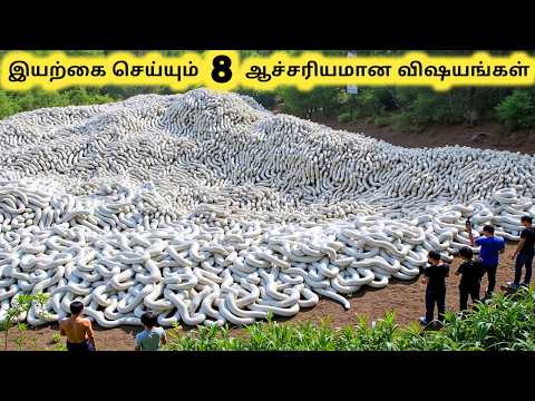 இயற்கை அதிசயங்கள் || Eight Unbelievable Nature Moments|| Tamil Galatta News