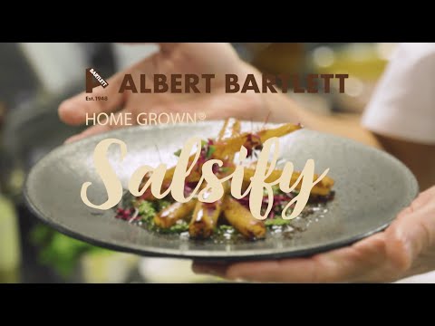 download lagu mp3 mp4 Salsify Soup, download lagu Salsify Soup gratis, unduh video klip Salsify Soup