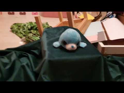 lied sluipend door de nacht