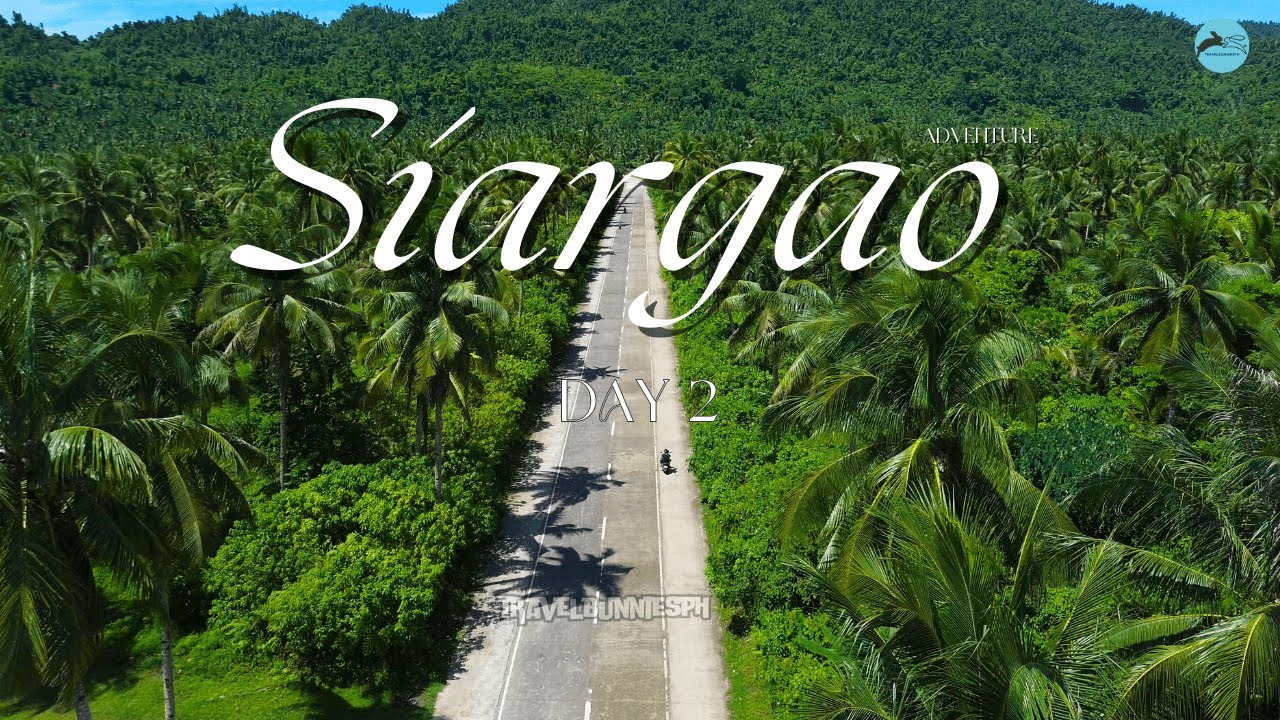 Ride through Siargao’s iconic coconut road, a palm-lined, golden-hour paradise made for stunning shots and island vibes